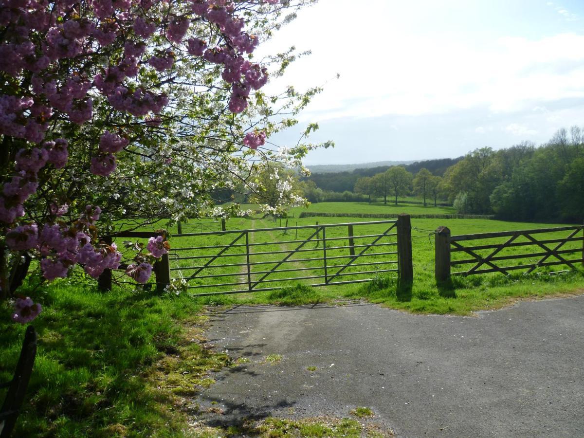 Moaps Farm B&B Support Small Business, Welcome, Check In From 5 Pm Danehill 外观 照片