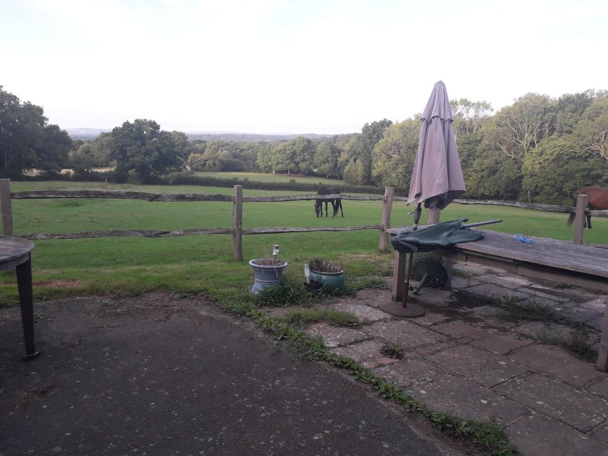 Moaps Farm B&B Support Small Business, Welcome, Check In From 5 Pm Danehill 外观 照片