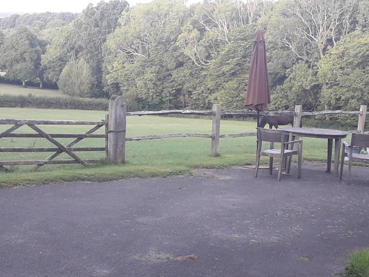 Moaps Farm B&B Support Small Business, Welcome, Check In From 5 Pm Danehill 外观 照片