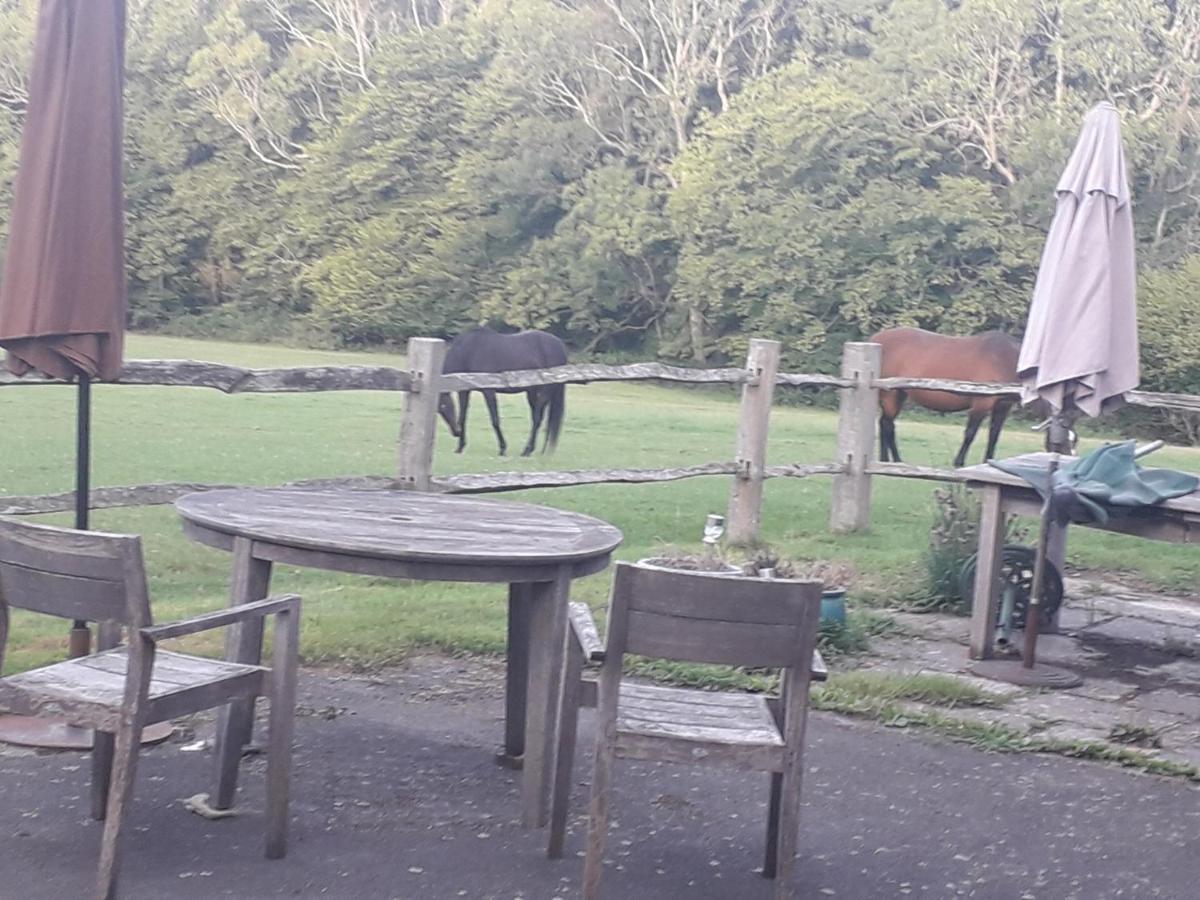 Moaps Farm B&B Support Small Business, Welcome, Check In From 5 Pm Danehill 外观 照片
