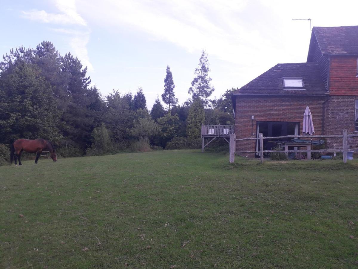 Moaps Farm B&B Support Small Business, Welcome, Check In From 5 Pm Danehill 外观 照片