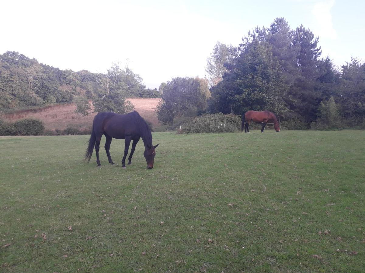 Moaps Farm B&B Support Small Business, Welcome, Check In From 5 Pm Danehill 外观 照片