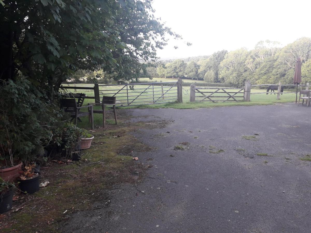 Moaps Farm B&B Support Small Business, Welcome, Check In From 5 Pm Danehill 外观 照片