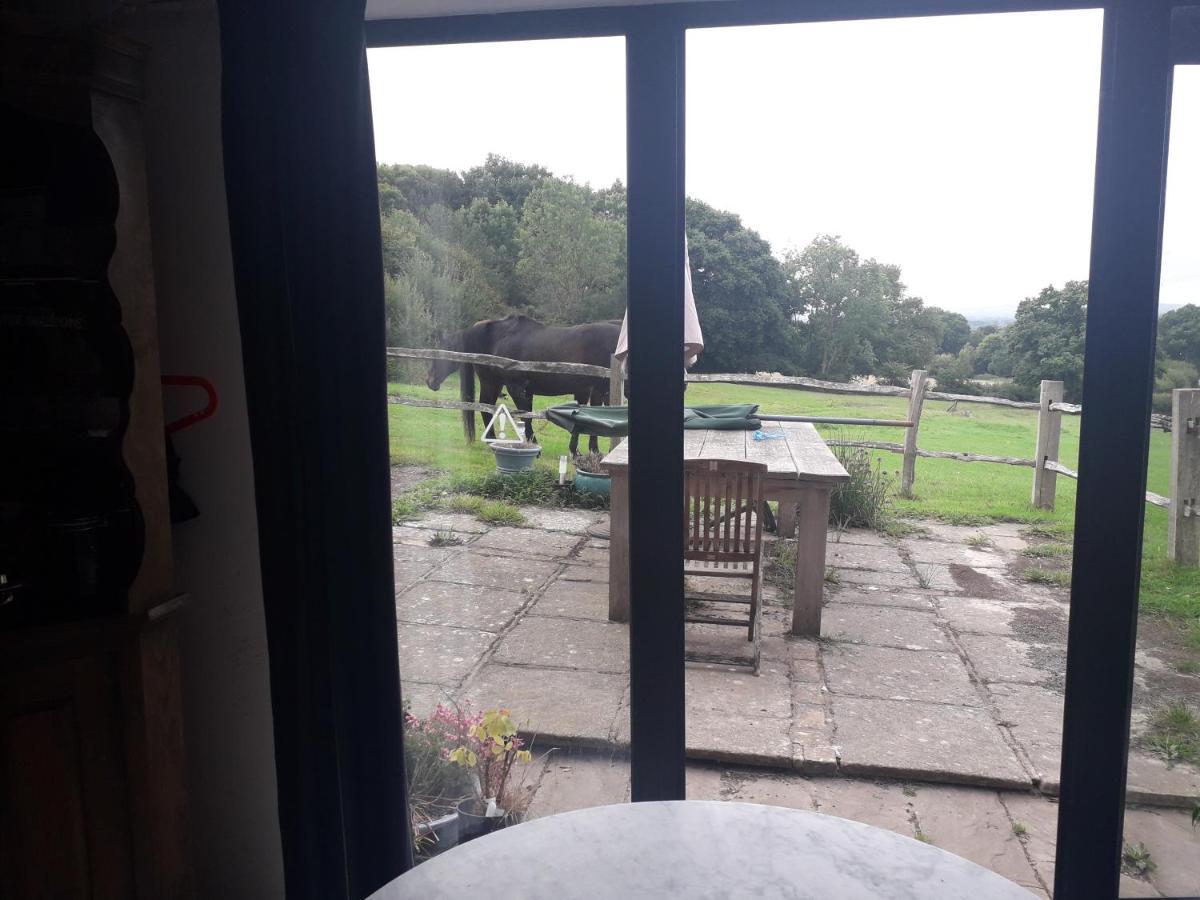 Moaps Farm B&B Support Small Business, Welcome, Check In From 5 Pm Danehill 外观 照片