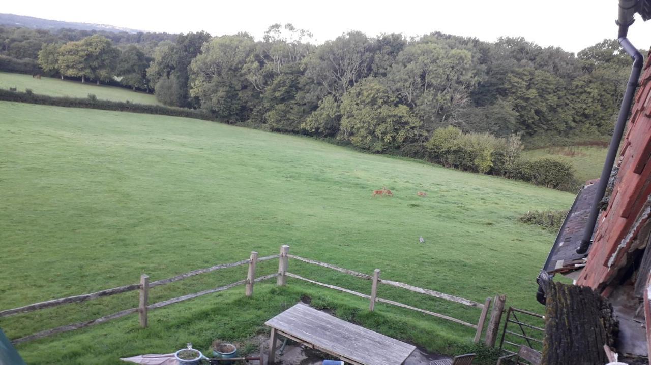 Moaps Farm B&B Support Small Business, Welcome, Check In From 5 Pm Danehill 外观 照片